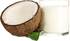 .8 fl oz. coconut milk