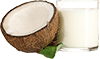 coconut milk