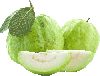 guava