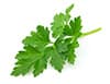 flat parsley