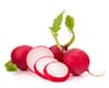 radishes