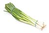 green onion